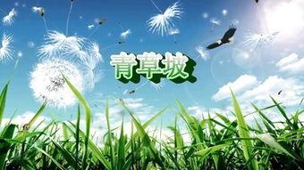 青草国产在线